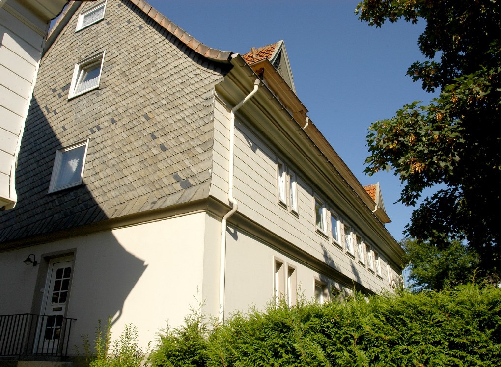 Goslar Kohlenwiese1