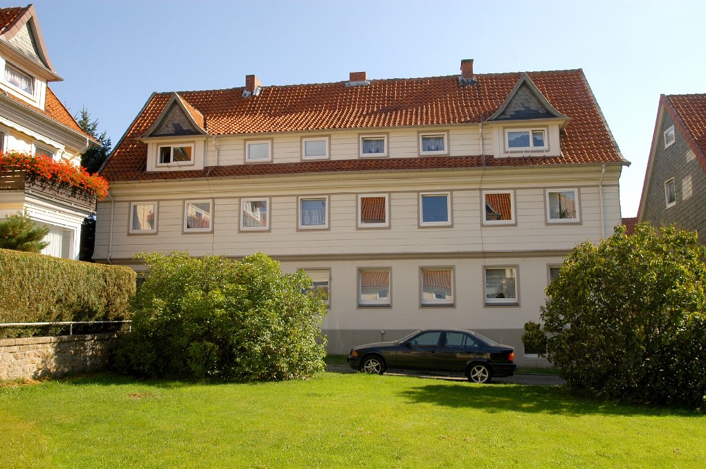 Goslar Kohlenwiese2